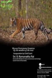 The Wild Life Kd 2016